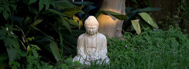 My backyard Buddha, shot on April 24, 2014. 85mm f/1.8 lens on Canon 6D, 1/100 @ f2.8. My Backyard Buddha, April 24, 2014