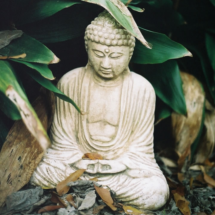 My backyard Buddha, shot on August 2, 2013 on Kodak Gold 200 film with my EOS 3. Lens and other details not recorded. My Backyard Buddha, August 2, 2013